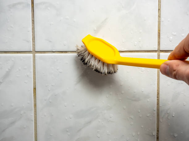 Best Water Damage Restoration  in Montesano, WA