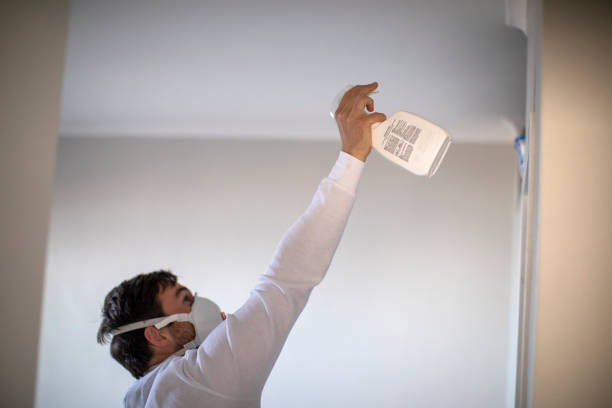 Best Fast Mold Removal  in Montesano, WA
