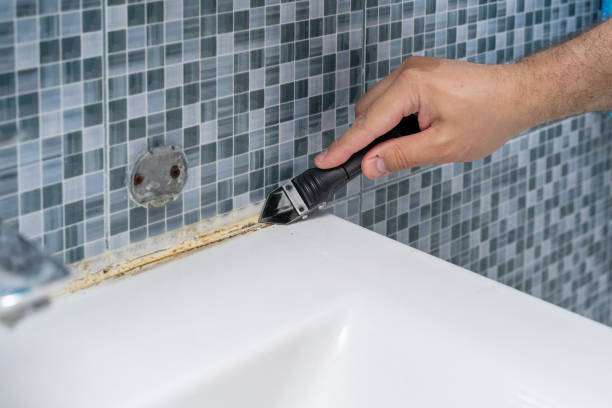 Best Black Mold Removal  in Montesano, WA