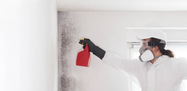 Best Crawl Space Mold Removal  in Montesano, WA